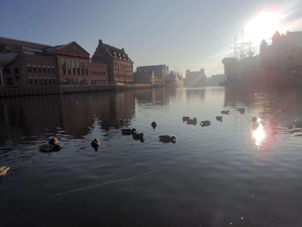 Apartament Nadmorski Gdansk โซพอต ห้อง รูปภาพ